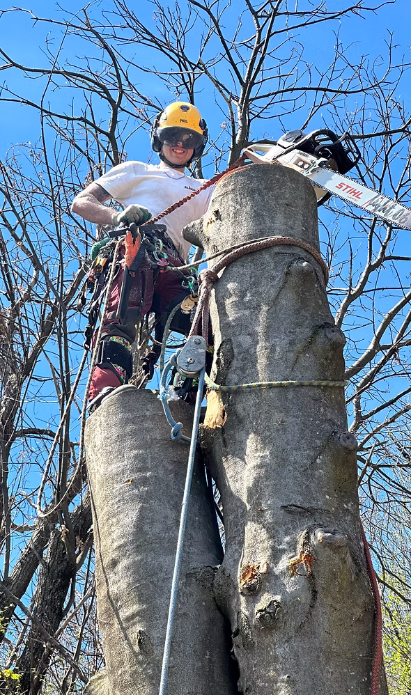 Smontaggi con sistema rigging